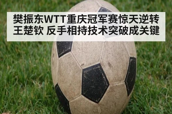 樊振东WTT重庆冠军赛惊天逆转王楚钦 反手相持技术突破成关键