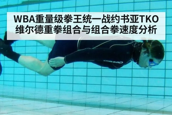 WBA重量级拳王统一战约书亚TKO维尔德重拳组合与组合拳速度分析